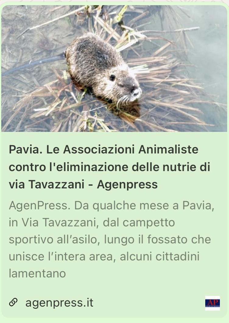 nutrie 655565358_1232504152389891_753937917485240954_n - copia